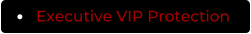 Executive VIP Protection