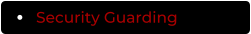 Security Guarding