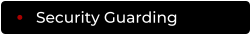 Security Guarding