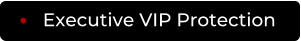Executive VIP Protection