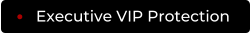 Executive VIP Protection