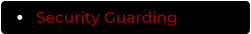 Security Guarding