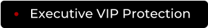 Executive VIP Protection