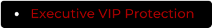 Executive VIP Protection
