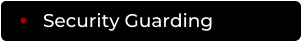 Security Guarding