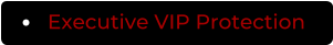 Executive VIP Protection