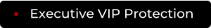 Executive VIP Protection