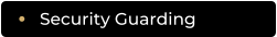 Security Guarding