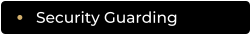 Security Guarding